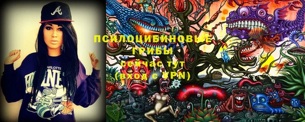 хмурый Алексин