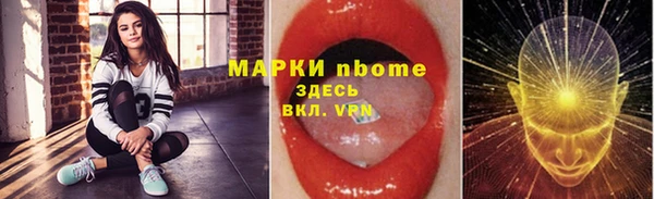 хмурый Алексин